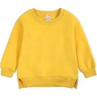 Toddler Baby Pullover Solid Color Fleece Sweater Long Sleeve Warm Tops Crewneck Blouse Shirt Tops for Spring Fall