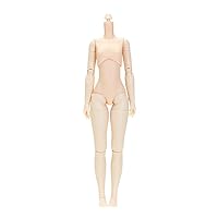 8.7 inches (22 cm) Obitsu Body Bust S Natural 22BD-F01N-S