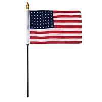 US Flag Store US48Stars-46HF U.S. 48 Stars Flag 4 x 6 inch
