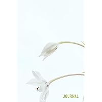 Journal: A calming dairy for Dementia and Alzheimers patients | Wide lined for elderly convenience Journal: A calming dairy for Dementia and Alzheimers patients | Wide lined for elderly convenience Paperback