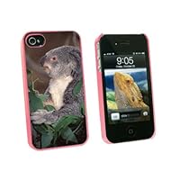 Graphics and More Koala Bear - Teddy - Snap On Hard Protective Case for Apple iPhone 4 4S - Pink - Carrying Case - Non-Retail Packaging - Pink
