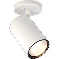 NUVO SF76/418 One Light Close-to-Ceiling Flush Mount, White