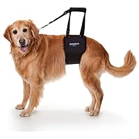 Dog Sling Support Harness, LG Female fits Big Dogs Over 65 lbs. Padded Rear Lift with Integrated Leash to Assist Senior K9s, or Recovery from Knee/TPLO, Hip or Back Surgery. Made in U.S.A.