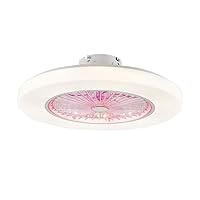 Ceiling Fan with Lights,Led Ceiling Fan Stepless Dimming Remote Control Ceiling Fans Lamp Invisible Leaves 58Cm Modern Home Decoration Luminaire Led Chandelier Fandelier/Pink