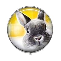 Rabbit - Animal Lover Pill Box - Yellow Rabbit Pill Box - Glass Candy Box