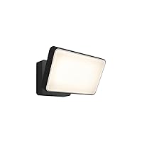 Discover Outdoor Smart Flood Light Fixture, Black - 15W, White and Color Ambiance LED Color-Changing Light - 1 Pack - Requires Hue Bridge - Control with Hue App and Voice - Weatherproof