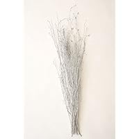 Green Floral Crafts Silver Birch Branches, Double Pack of 10, 3-3.5 feet SILVER Branches