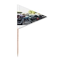 Boat Stop Art Deco Fashion Toothpick Triangle Cupcake Toppers Flag