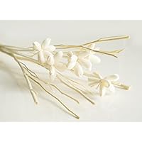 20 Mini Night Jasmine Sola Wood Stem and Branch Reed Diffuser Arrangement for Home Fragrance Aroma Oil by Plawanature