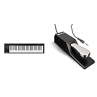 Nektar Impact GX49 | USB MIDI Controller Keyboard with Nektar DAW Integration & M-Audio SP-2 - Universal Sustain Pedal with Piano Style Action, the Ideal Accessory for MIDI Keyboards