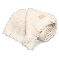 Adara Ethnic Motif Heavyweight 100% Wool Blanket - Creamy White, 63 x 86 Inches