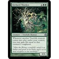 Magic: the Gathering - Orchard Warden - Morningtide