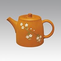 Tokoname Kyusu teapot - SEIHO - SAKURA (both side design) 140cc/ml - sasame ceramic fine mesh with box [Standard ship by EMS: with Tracking & Insurance]