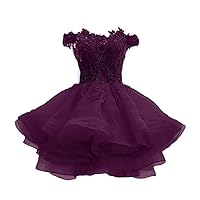 Teens Off The Shoulder Organza Short Prom Dresses Lace Applique Short Cocktail Party Dresses for Juniors PRY150