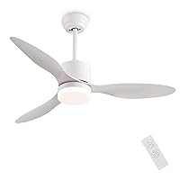 Ceiling Fans with Lights,42