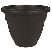 The HC Companies 8 Inch Caribbean Planter - Lightweight Indoor Outdoor Plastic Plant Pot for Herbs and Flowers, Black