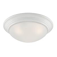 Designers Fountain 14 in 2-Light Modern Flush Mount Ceiling Light with Etched Glass Shade, Matte White, 1360M-MW