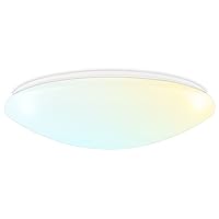 Luxrite 19 Inch LED Flush Mount Ceiling Light, 24/28/32W Selectable, 3 CCT Color Selectable 3000K | 4000K | 5000K, CRI 90, 1680/1960/2240 Lumens, Dimmable Ceiling Light Fixture, Damp Rated, ETL Listed