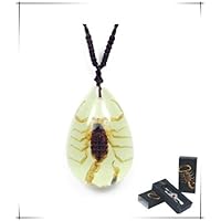 Real Brown Scorpion Necklace Small Teardrop (Glow in The Dark)