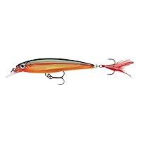 Rapala X-Rap 10 Medium Diving Jerkbait - Rusty Crawdad