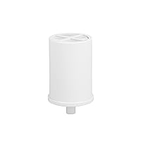 Shower Replacement Filter | Removes Chlorine | Replace Filter (FXSCT) Every 6 Months | FXSCT, 1 Count (Pack of 1)