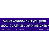 What Wisdom Can You Find That is Greater Than Kindness? - Bumper Sticker/Decal (11.25