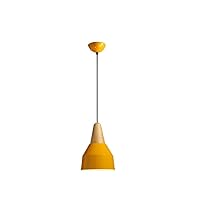 Simple Modern Metal Ceiling Lamp with Wooden Top, Colorful, for Restaurant, Chandelier, for Dining Room, Kitchen, Cafe, Bar, Living Room, Base E27 Lighting Device