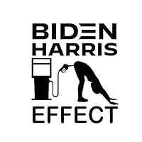 Biden Harris Effect Decal by Check Custom Design - Multiple Sizes and Colors