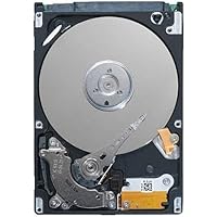 DELL HD 1TB 5.4 2.5 7 SM SGT-RSWA HD 1TB 5.4 2.5 7 SM SGT-RSWA, 02J7C1 (HD 1TB 5.4 2.5 7 SM SGT-RSWA, 2.5, 1 GB, 5400 RPM)