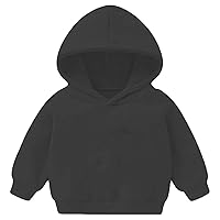 Little Kids Girls Fashion Hoodie Long Sleeve Sweatshirt Solid Color Pullover Hooded Shirt Tops Outdoor Casual Wear