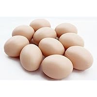 10 Fake Eggs for Hatch Chicken Duck Pigeon Small Geese Incubation Breeding Solid