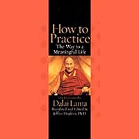 How to Practice: The Way to a Meaningful Life How to Practice: The Way to a Meaningful Life Audible Audiobook Paperback Kindle Hardcover Audio, Cassette