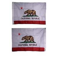 2x3 Embroidered State of California CA Double Sided 210D Sewn Nylon Flag 2x3 - Party Decorations Supplies For Parades - Prime Outside, Garden, Men Cave Decor Flag