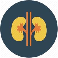 Kidney failure treatment in ayurveda