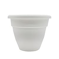 The HC Companies 6 Inch Caribbean Planter - Lightweight Indoor Outdoor Plastic Plant Pot for Herbs and Flowers, White