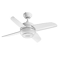 Ceiling Fan with Lights,Music Fan Light Ultra-Quiet Intelligent Remote Control Ceiling Fan Light Kids Study Living Room Led Lamp Led Chandelier Fandelier/White/38In