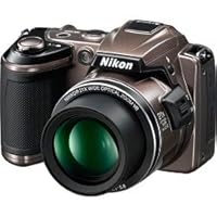 Nikon COOLPIX L120 14.1 MP Digital Camera with 21x NIKKOR Wide-Angle Optical Zoom Lens and 3-Inch LCD (Bronze)