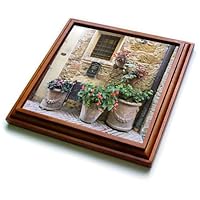 3dRose, 8x8 Trivet with 6x6 ceramic tile, Brown