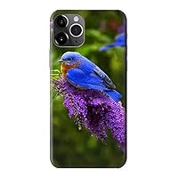 R1565 Bluebird of Happiness Blue Bird Case Cover for iPhone 11 Pro Max