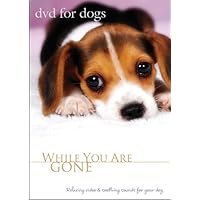 For Dogs: While You Are Gone Relaxing Dog Video, Dog Movie for Separation Anxiety For Dogs: While You Are Gone Relaxing Dog Video, Dog Movie for Separation Anxiety DVD