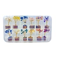 Dce Beautiful Bonsai Chakra Gemstone Mini Tree Set Of 12 Seven Chakra Crystal Chips Beaded Baby Trees With Plastic Grid Box Home Decor Money Tree Crystal By Dazzling Crystal Exports.