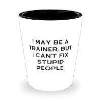 Nice Trainer, I May Be a Trainer, but I Can't Fix Stupid People, Cute Holiday Shot Glass From Friends