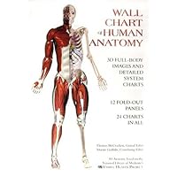 Wall Chart of Human Anatomy Wall Chart of Human Anatomy Hardcover