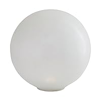 Creative Co-Op Glass Globe with LED Light, Frosted White Finish