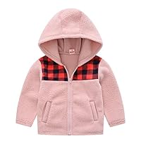Spring Autumn Boys Girls Zippered Hooded Jacket Thick Fleece Warm Coat Outwear Kids Clothes (1,6)
