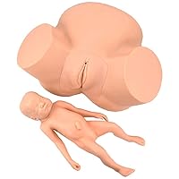 Teaching Model,Childbirth Simulator Childbirth Demonstration Model with Fetal Model and Anatomical Details Life Size PVC Midwifery Training Model for Training Teaching Education Su