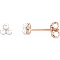 14k Rose Gold Cultured Freshwater Pearl 2mm Friction Back Polished Earring Jewelry Gifts for Women