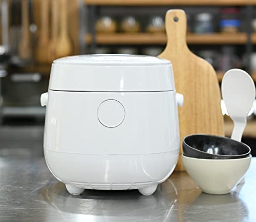 does-rice-cooker-save-energy