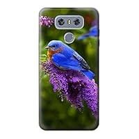 R1565 Bluebird of Happiness Blue Bird Case Cover for LG G6