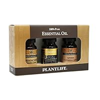 Biblical Set 3-pack (Frankincense, Myrrh, Anoint) Aromatherapy Essential Oil Set - Straight From The Plant 100% Pure Therapeutic Grade - Made in California 10 ml